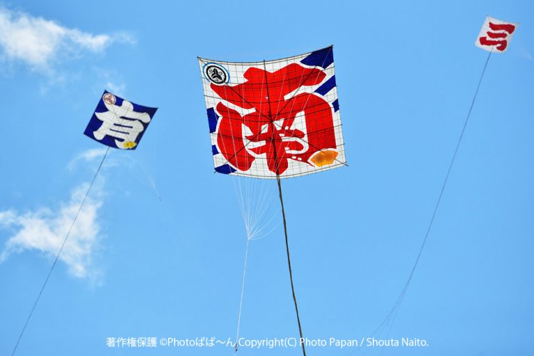 浜松まつりの大凧・初凧