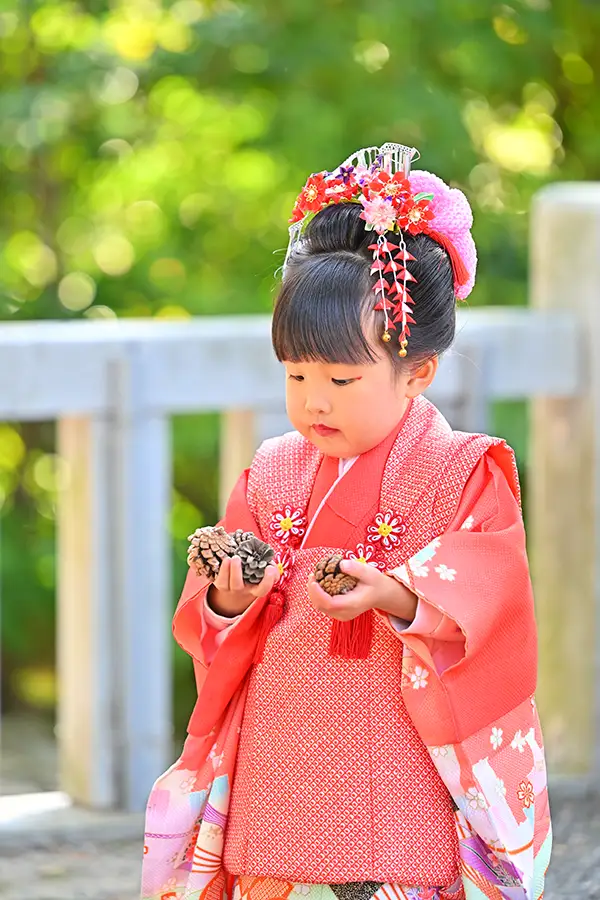 浜松市の神社にて、松ぼっくりを集める七五三の女の子