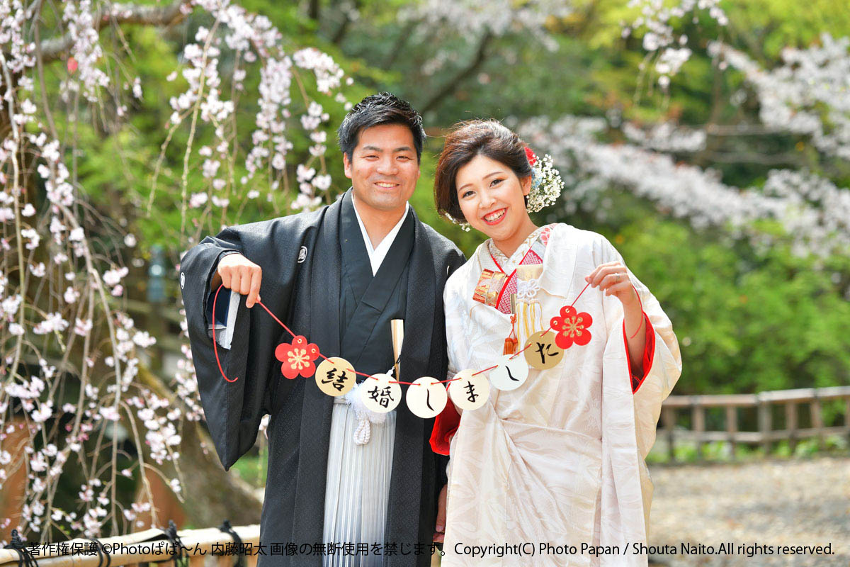 春の浜松城公園にて、結婚式和装前撮り写真